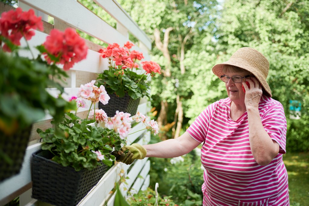 Hymyilevä iäkäs nainen seisoo puutarhassa kastelukannu kädessään, puhuu puhelimeen ja hoitaa kukkivia pelargonioita, jotka kasvavat mustissa ruukuissa valkoisella aidalla. Naisella on päässään leveälierinen hattu ja yllään pinkkiraidallinen paita.
